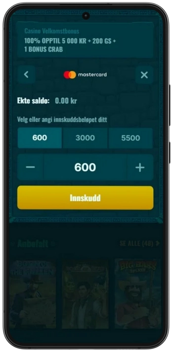 Spinanga Mastercard Payment Interface